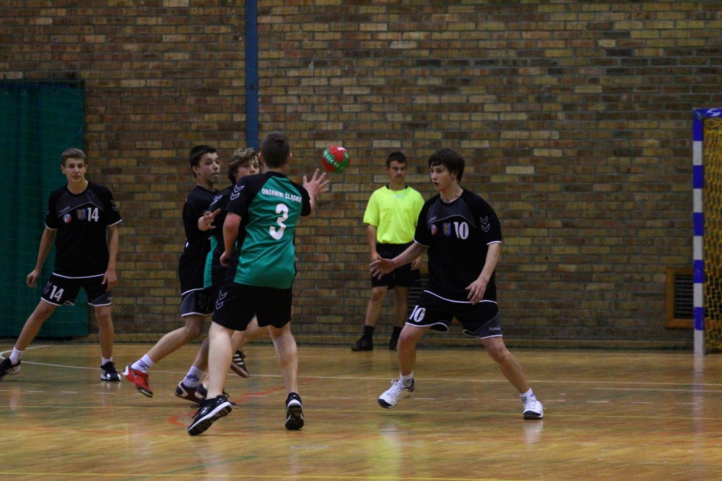 Lion Cup 2013 - VIII Turniej Piłki Ręcznej cz5