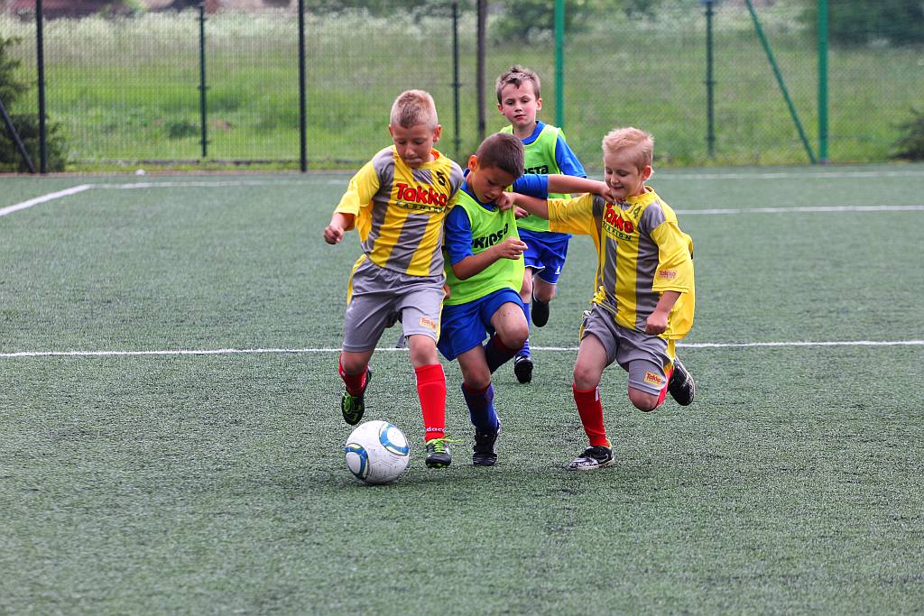 Football Academy Legnica cz1