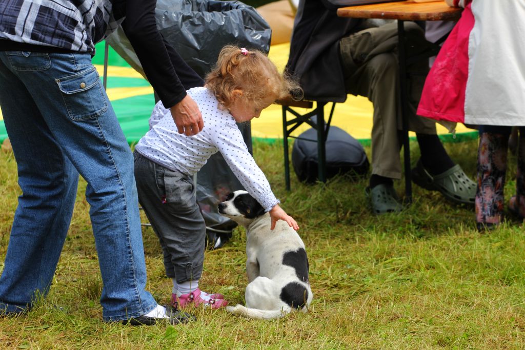 II Święto Truskawki