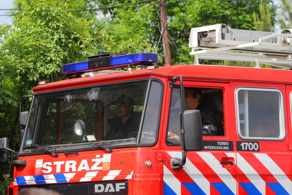 II Święto Truskawki