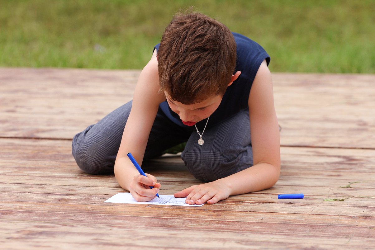 II Święto Truskawki