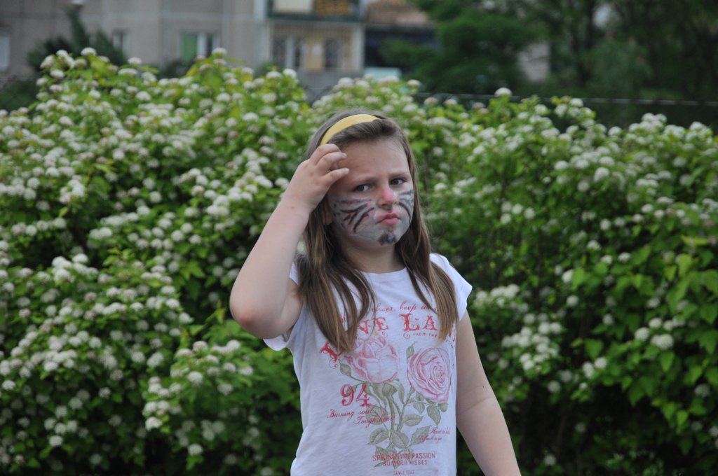 VIII Integracyjny Festyn 