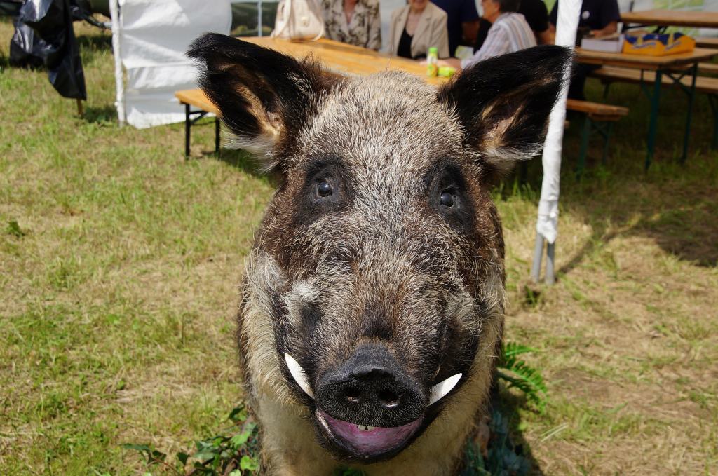 90 Lat Polskiego Związku Łowieckiego