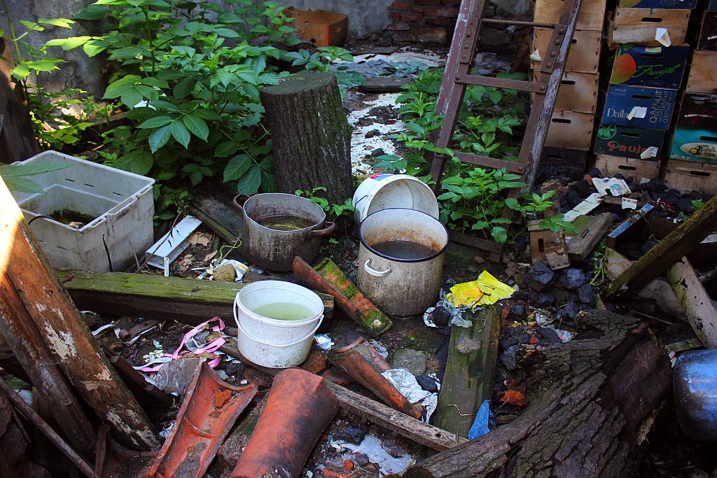 Skończył się horror trzech psów z ulicy Dąbrówki