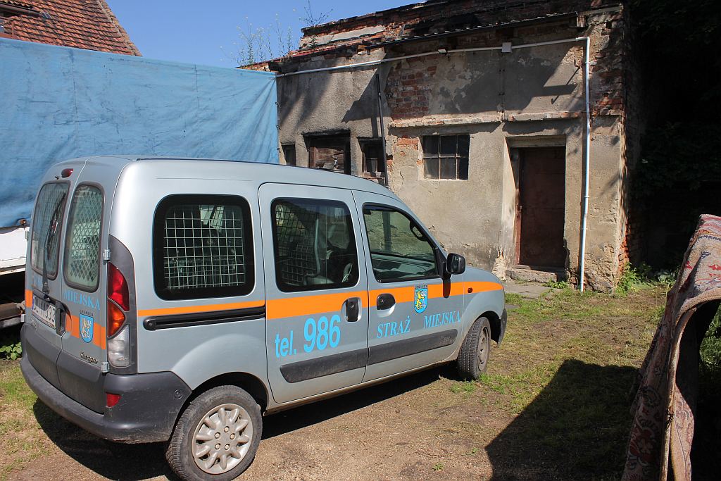 Skończył się horror trzech psów z ulicy Dąbrówki