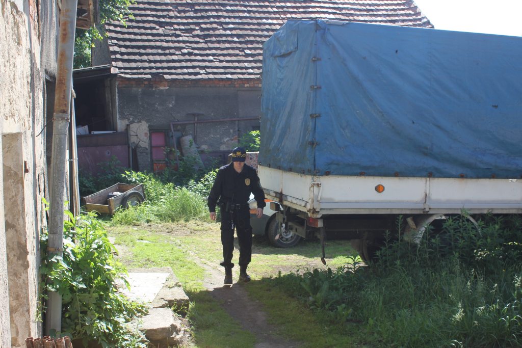 Skończył się horror trzech psów z ulicy Dąbrówki