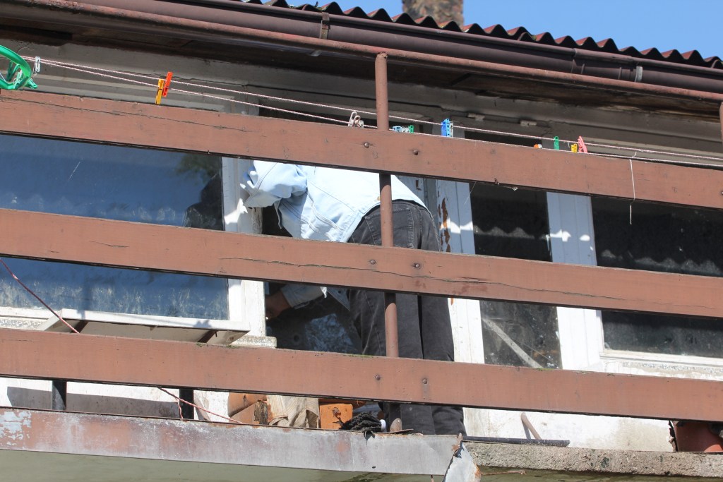 Skończył się horror trzech psów z ulicy Dąbrówki