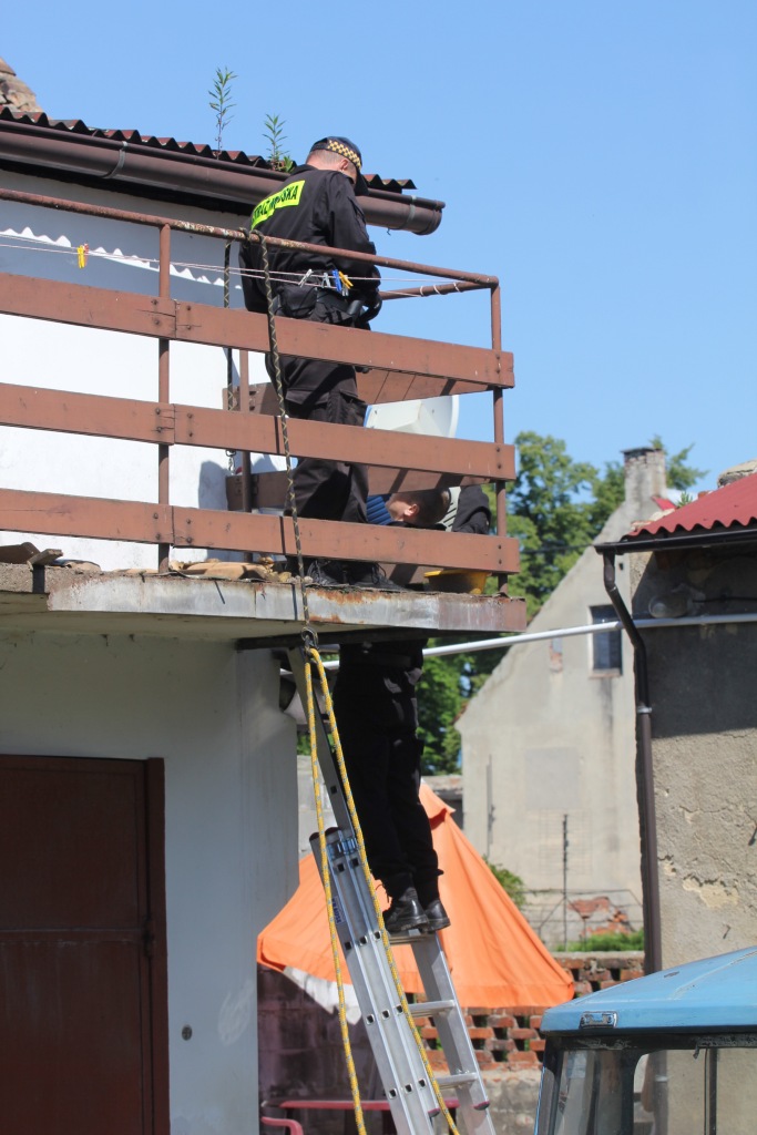 Skończył się horror trzech psów z ulicy Dąbrówki