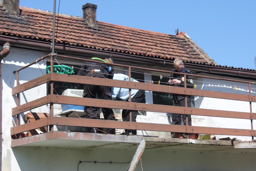 Skończył się horror trzech psów z ulicy Dąbrówki