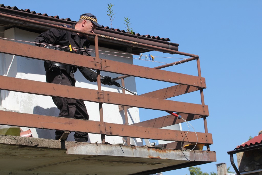 Skończył się horror trzech psów z ulicy Dąbrówki