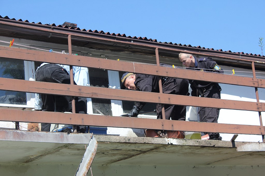 Skończył się horror trzech psów z ulicy Dąbrówki