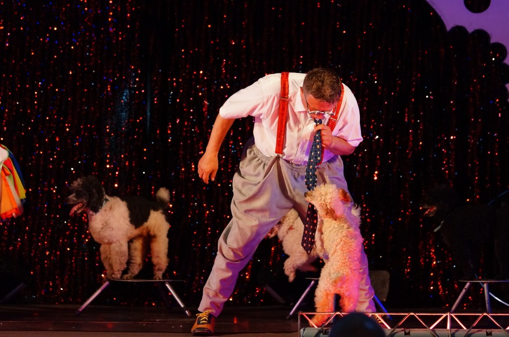 Cyrkowe Show Juremix