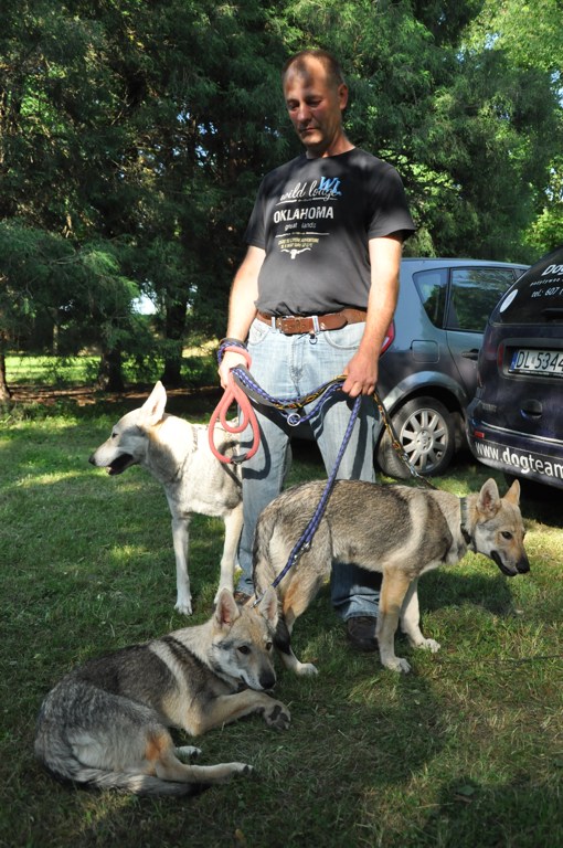Zwierzyniec w Parku Miejskim