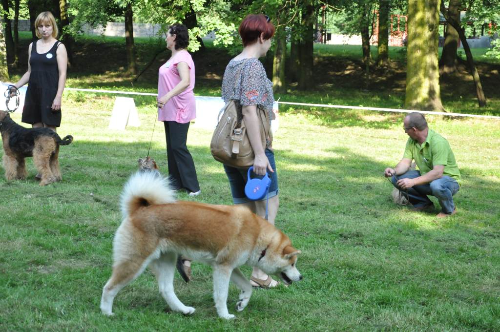 Zwierzyniec w Parku Miejskim