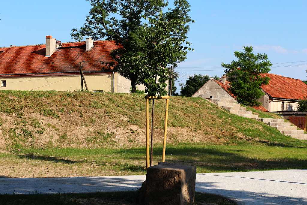 Powitali lato i otworzyli rewitalizowany park