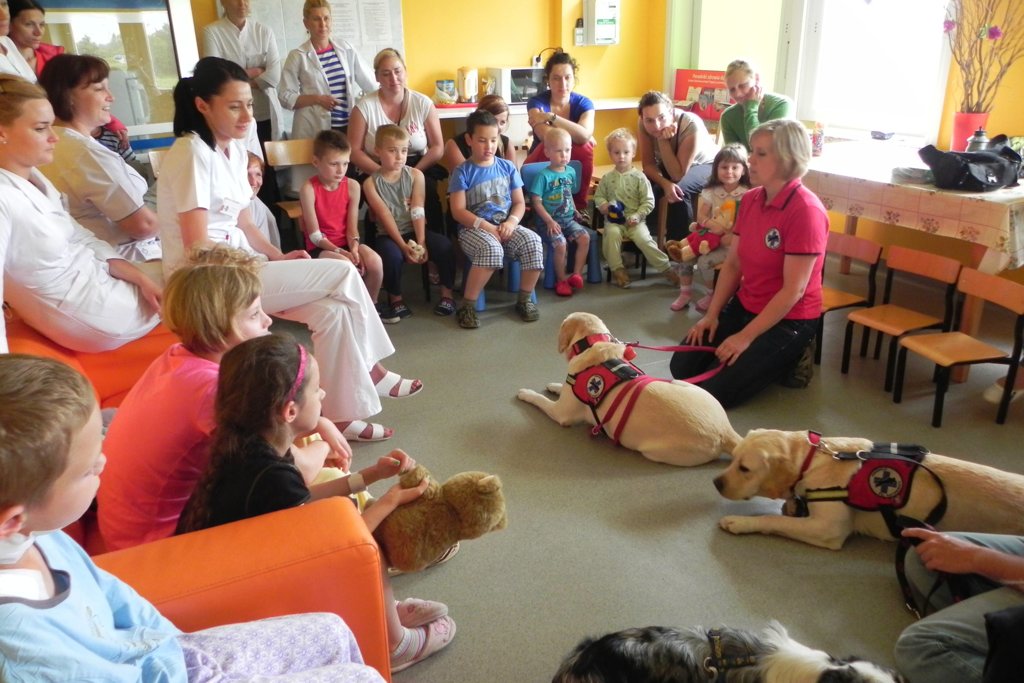 Dogoterapia w legnickim szpitalu