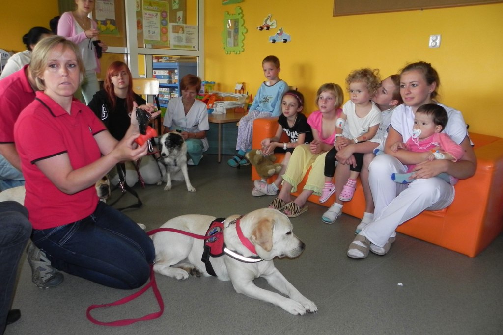 Dogoterapia w legnickim szpitalu