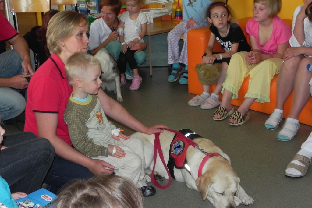 Dogoterapia w legnickim szpitalu