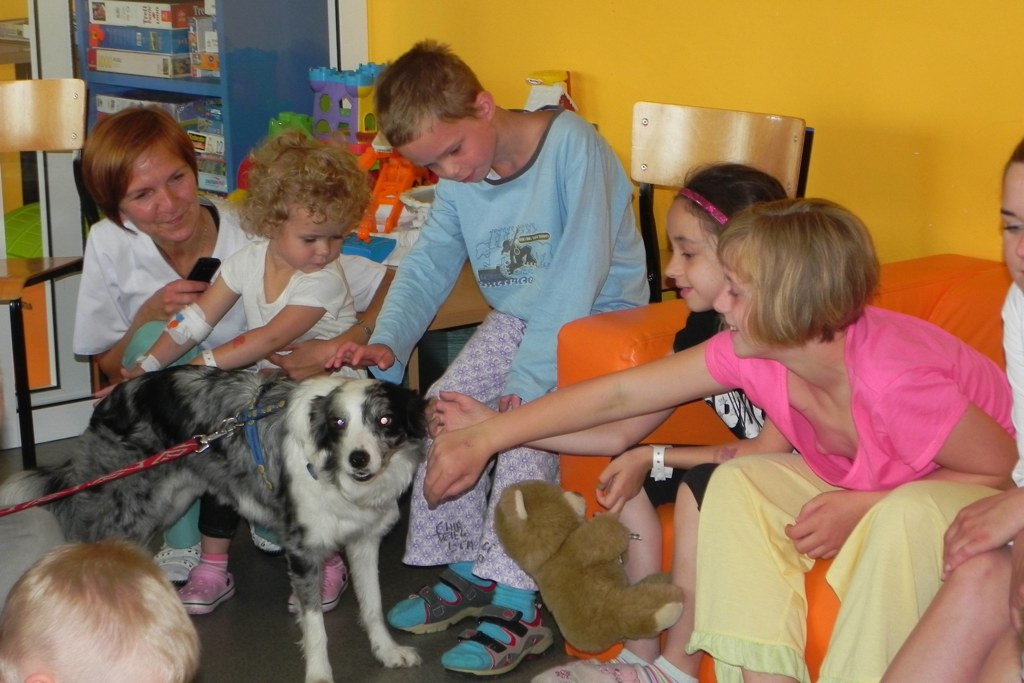 Dogoterapia w legnickim szpitalu