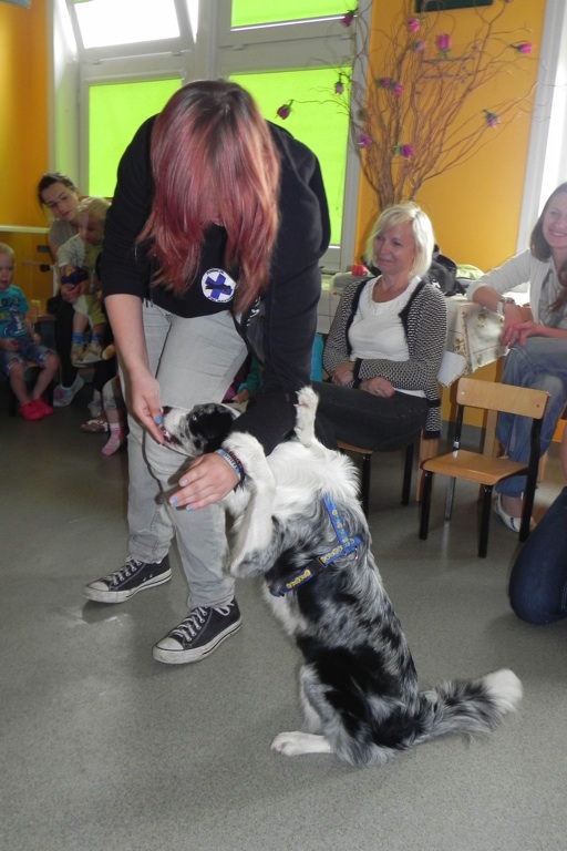Dogoterapia w legnickim szpitalu