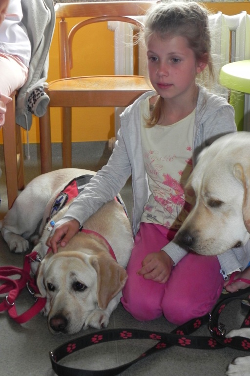 Dogoterapia w legnickim szpitalu