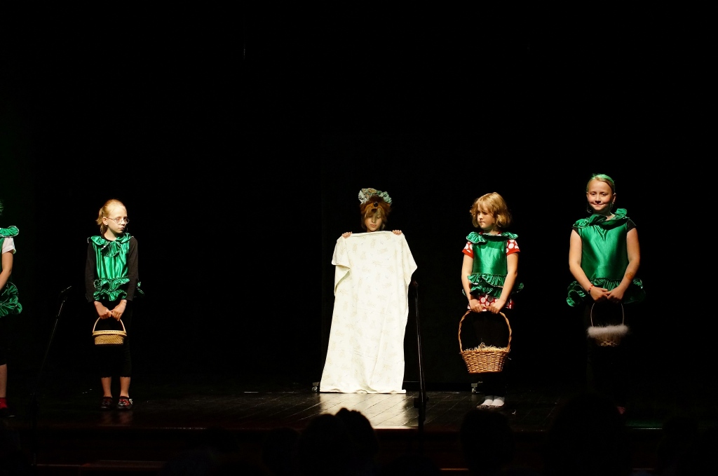 Podsumowanie działalności kół teatralnych