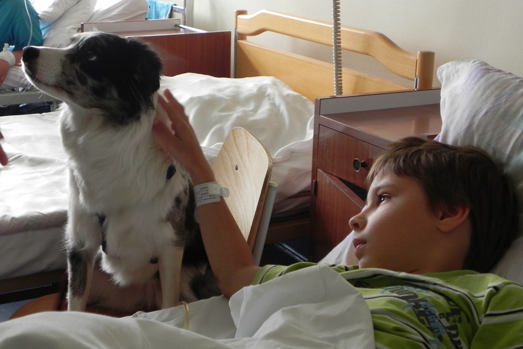 Dogoterapia w legnickim szpitalu