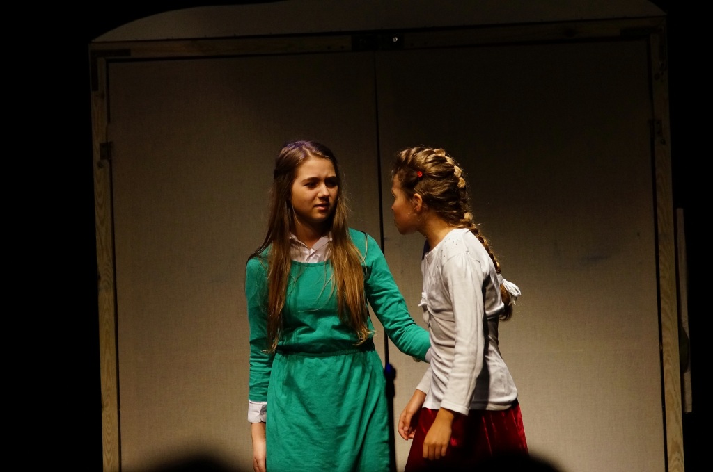 Podsumowanie działalności kół teatralnych