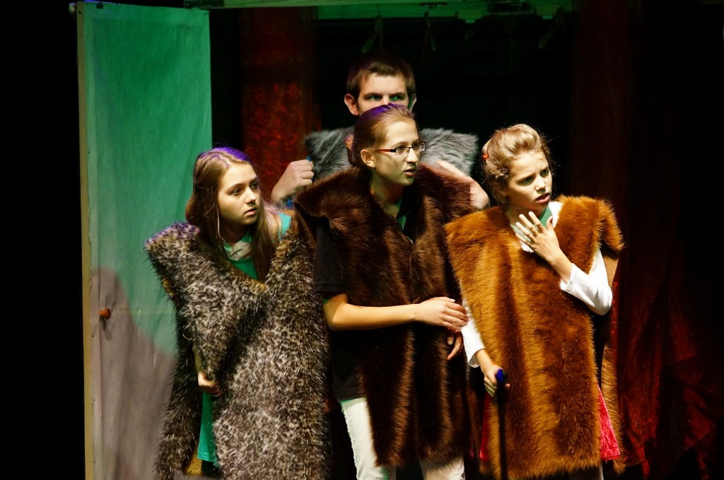 Podsumowanie działalności kół teatralnych
