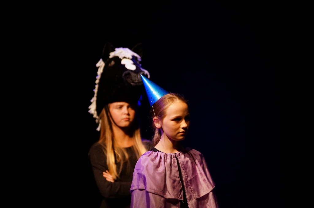 Podsumowanie działalności kół teatralnych
PINOKIO i ZONK