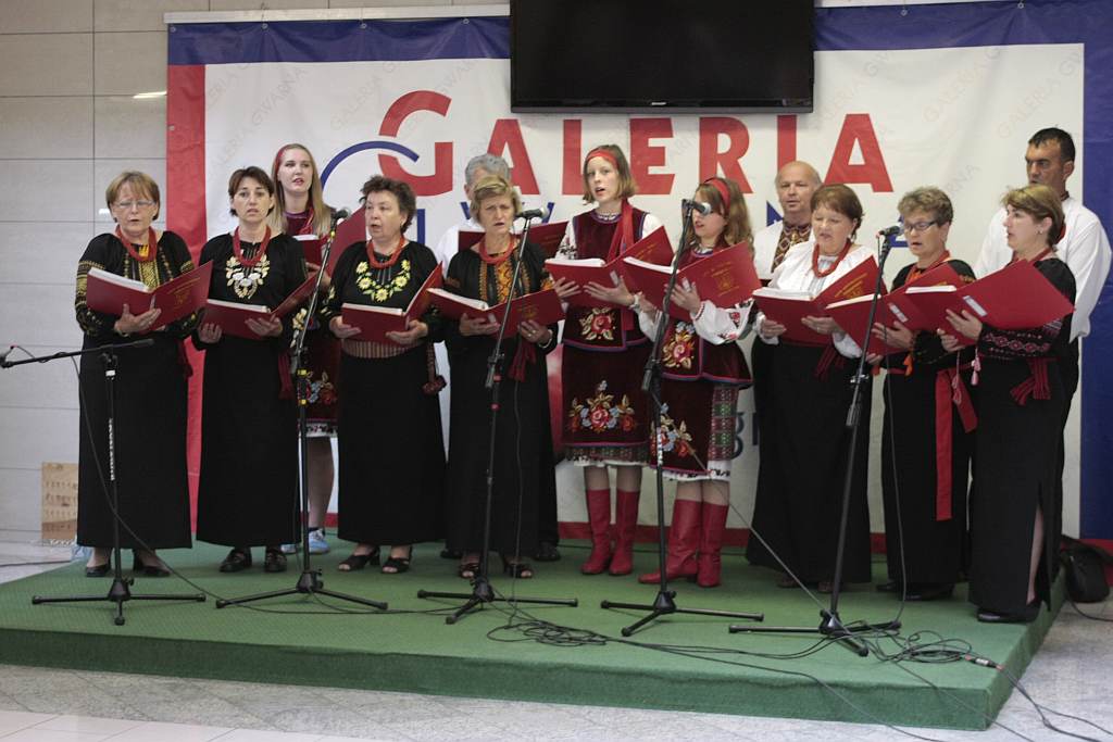 Kyczera w Galerii Gwarna
