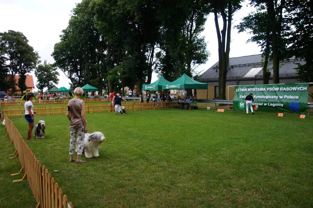 III Krajowa Wystawa Psów Pasterskich