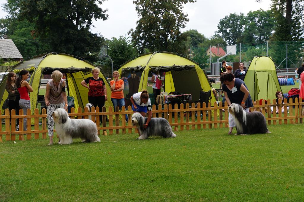 III Krajowa Wystawa Psów Pasterskich