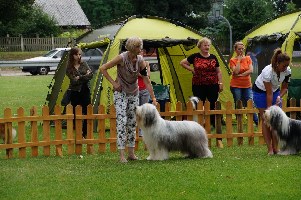 III Krajowa Wystawa Psów Pasterskich