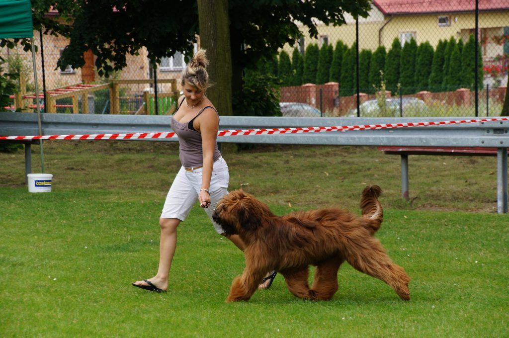 III Krajowa Wystawa Psów Pasterskich