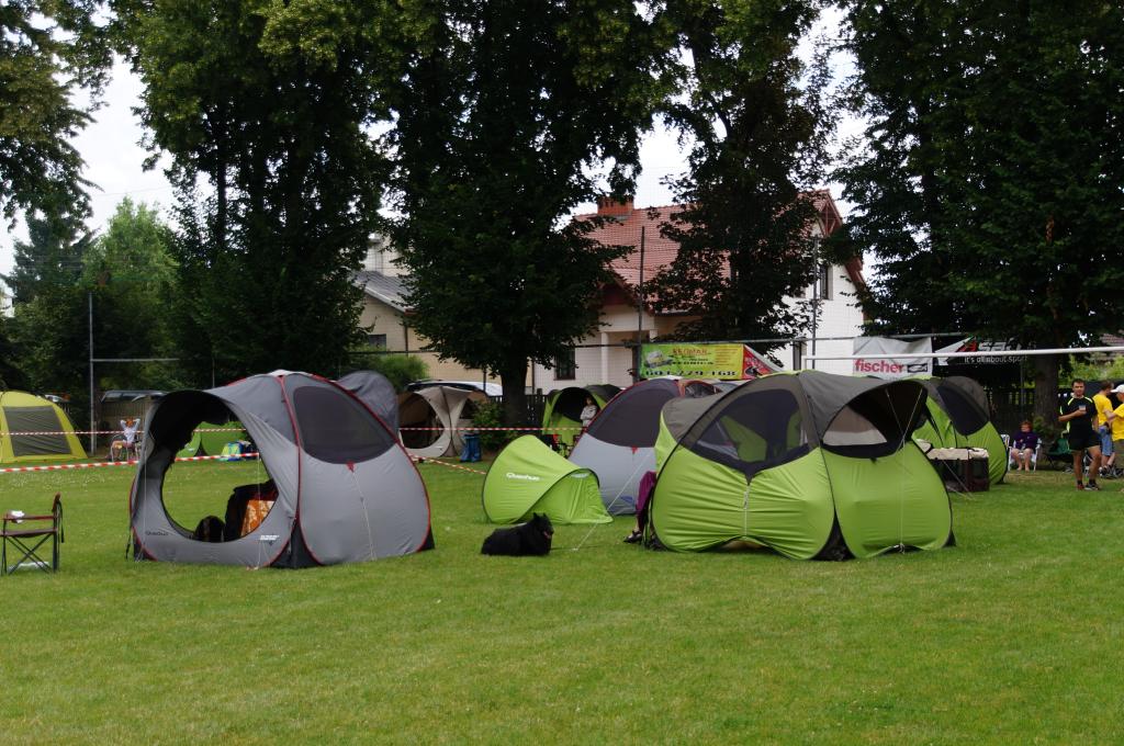 III Krajowa Wystawa Psów Pasterskich