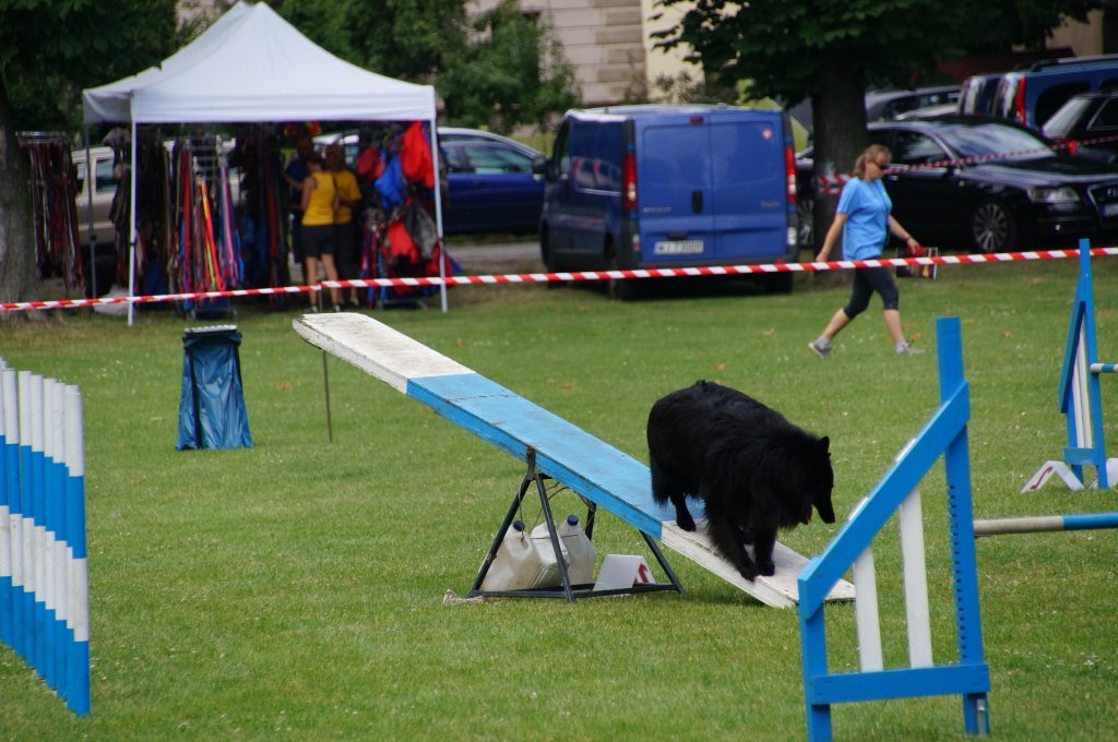 III Krajowa Wystawa Psów Pasterskich