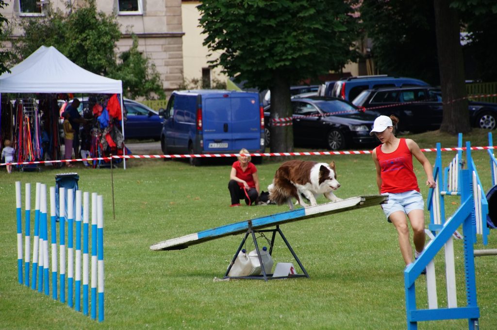 III Krajowa Wystawa Psów Pasterskich