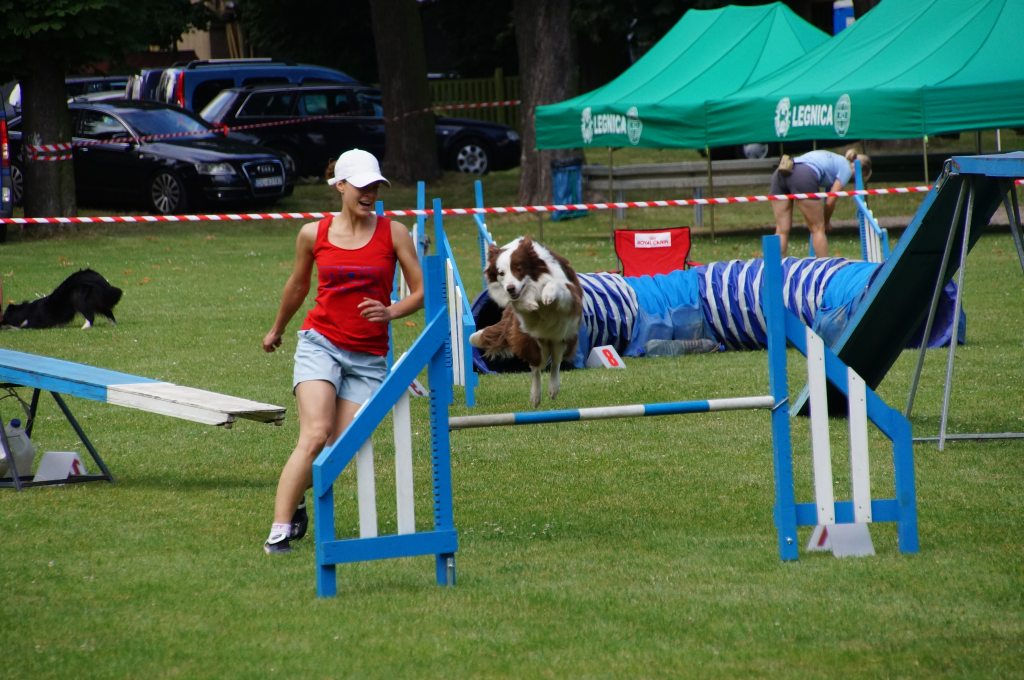 III Krajowa Wystawa Psów Pasterskich