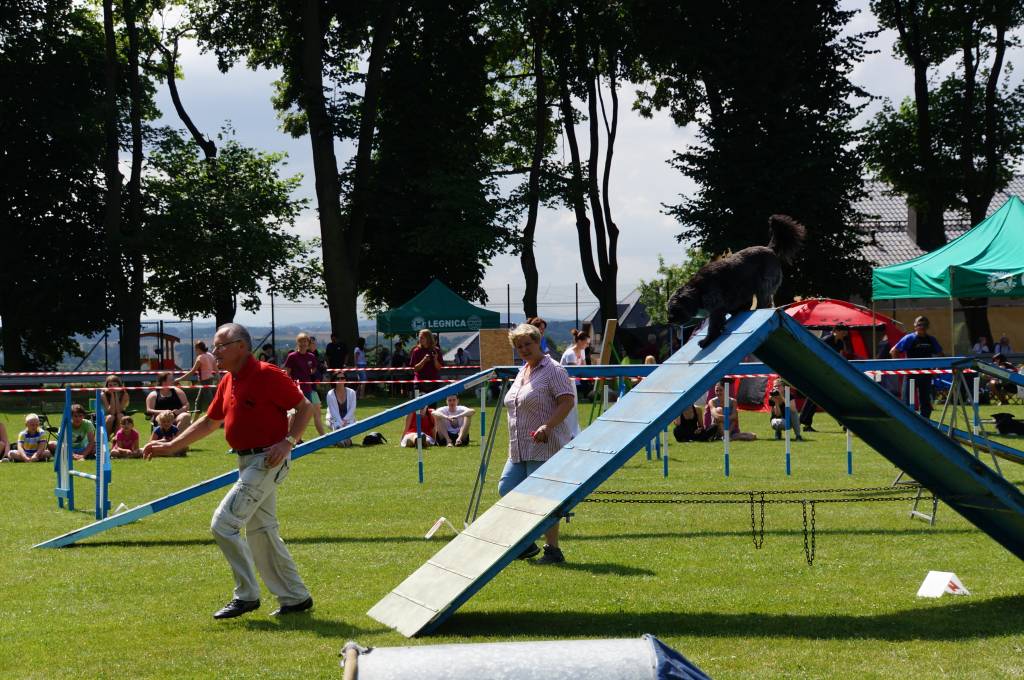 III Krajowa Wystawa Psów Pasterskich