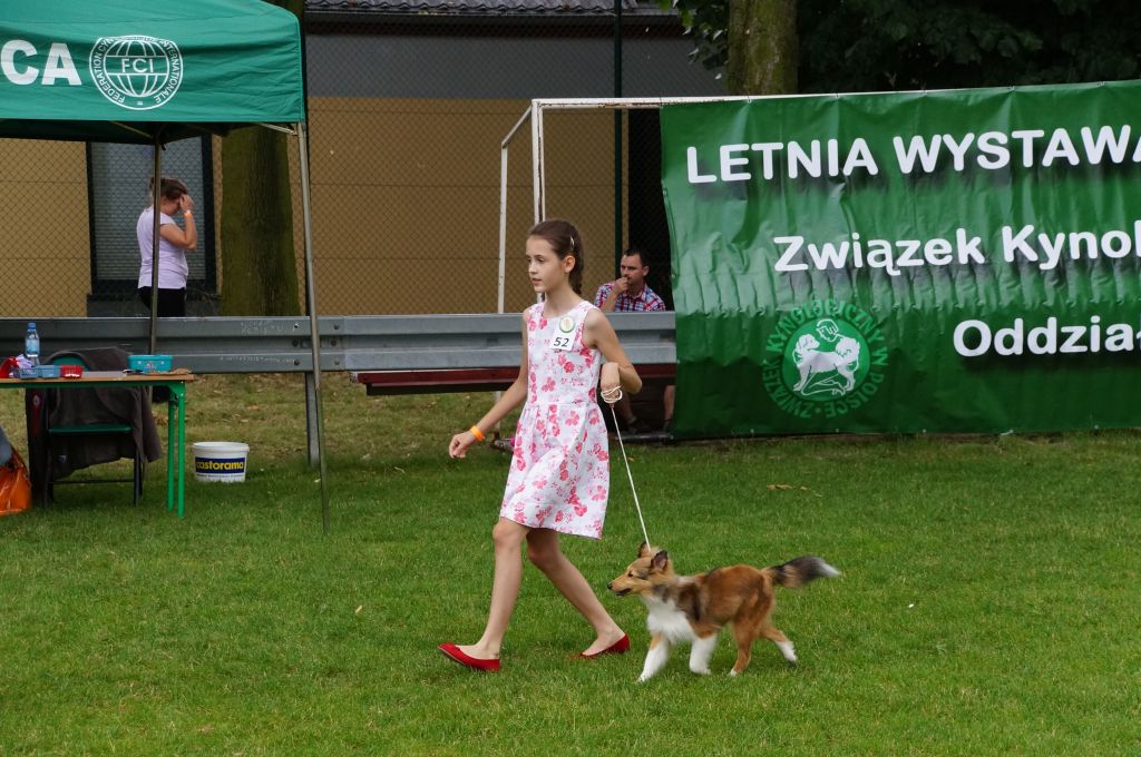 III Krajowa Wystawa Psów Pasterskich