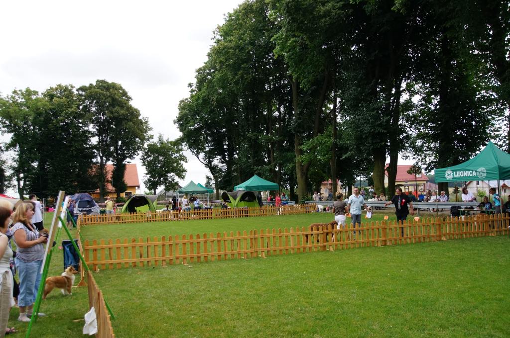 III Krajowa Wystawa Psów Pasterskich