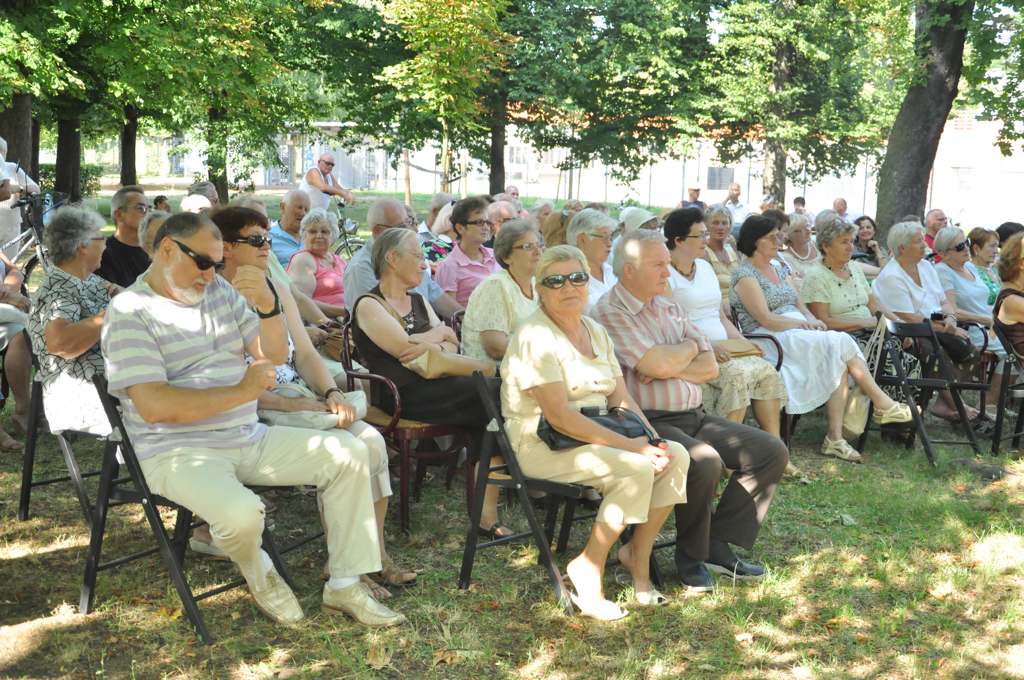 Czarne Motyle w Parku Miejskim