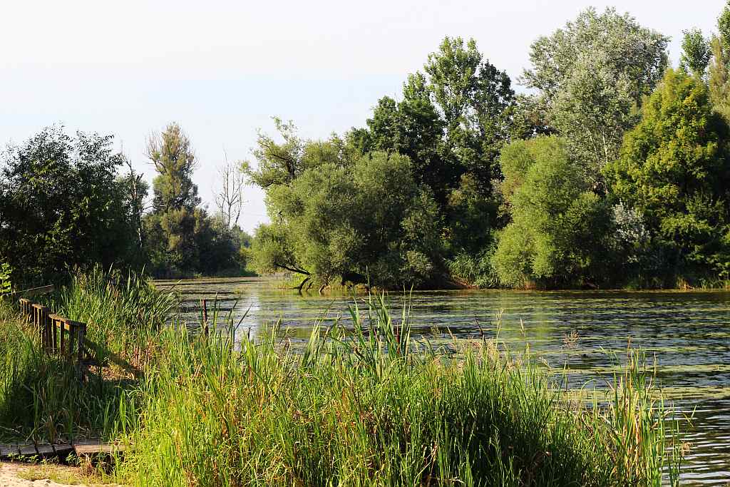 Piaskownica 2013 - wygrał smok