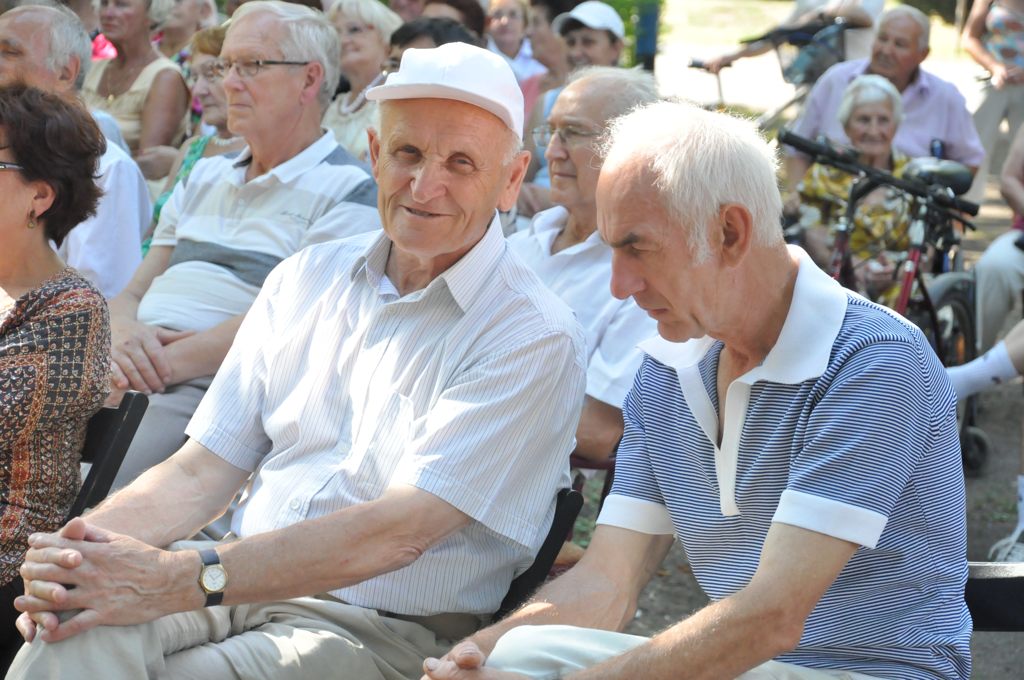 Czarne Motyle w Parku Miejskim