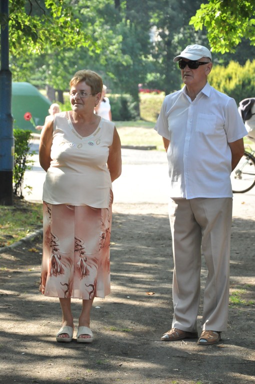 Czarne Motyle w Parku Miejskim