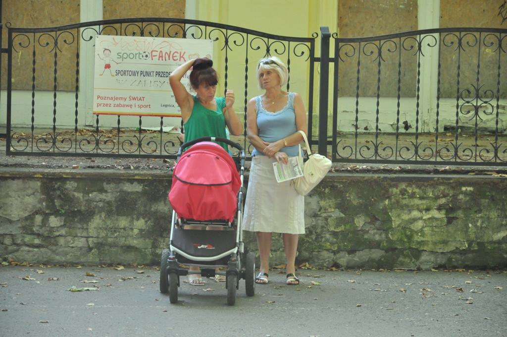 Czarne Motyle w Parku Miejskim