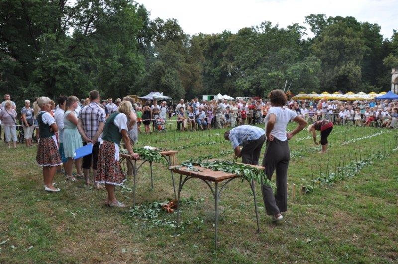 Szczepili drzewka i układali ikebany z kwiatów