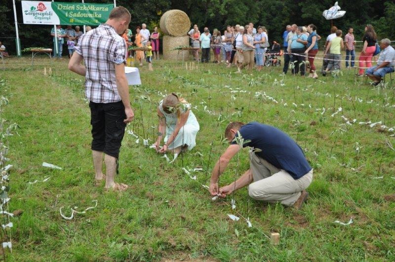 Szczepili drzewka i układali ikebany z kwiatów