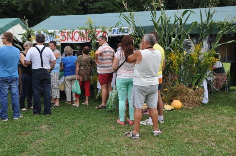 Szczepili drzewka i układali ikebany z kwiatów